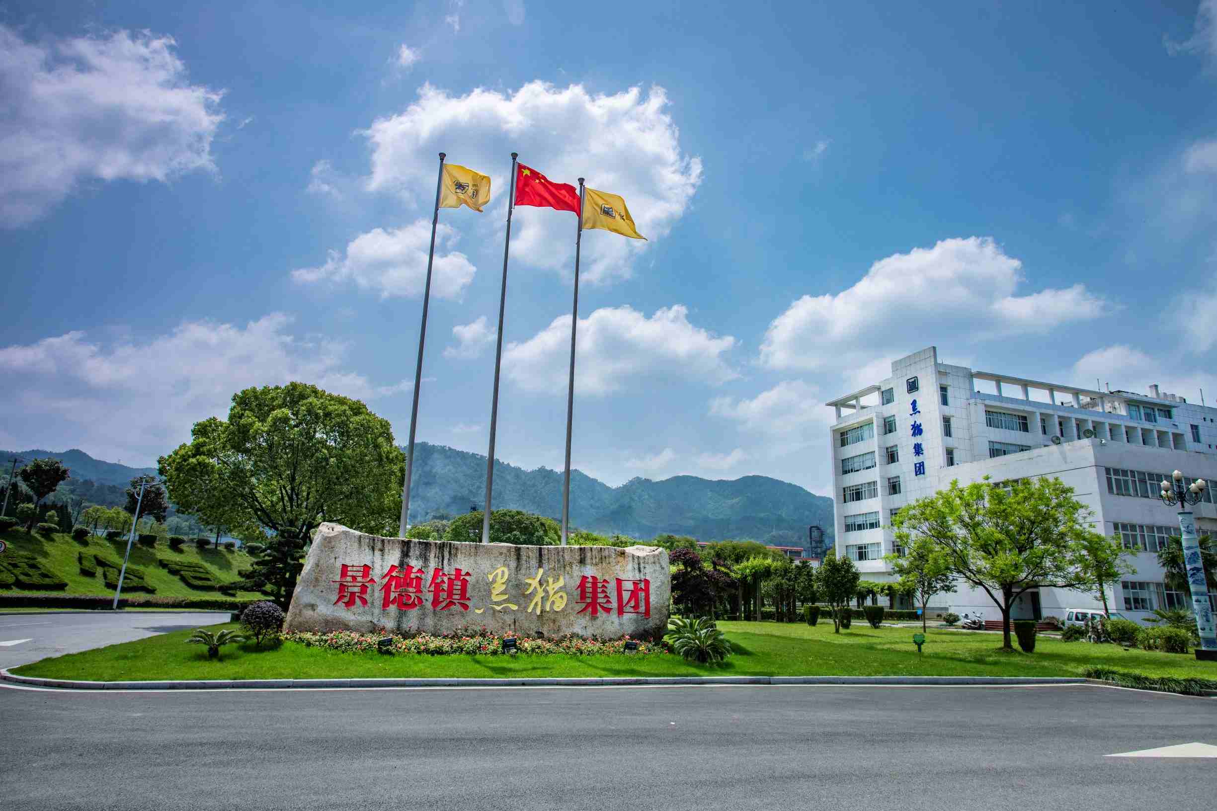 大美黑貓   逐夢(mèng)前行