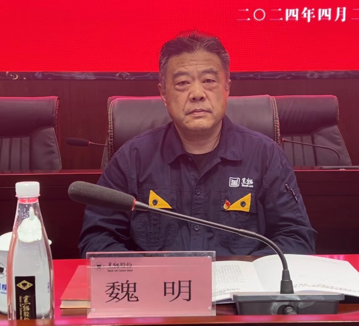 4 黑貓股份黨委副書記、董事長魏明出席會議.jpg